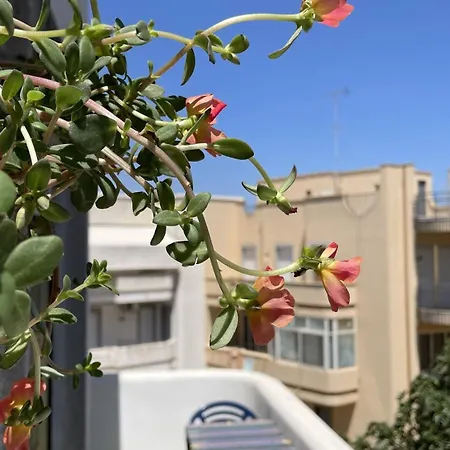 Apartmán Ampio A - L'aquilone *
